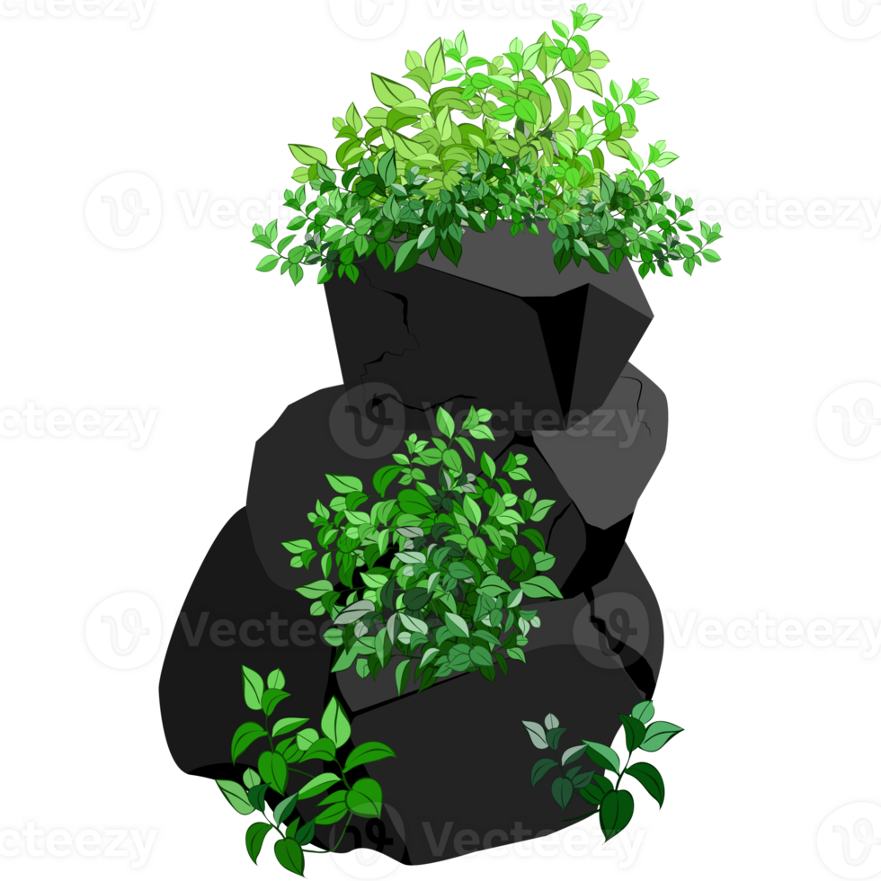 Stones or black coal from plants png