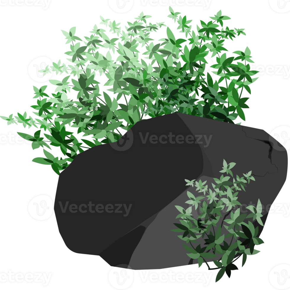 Stones or black coal from plants png