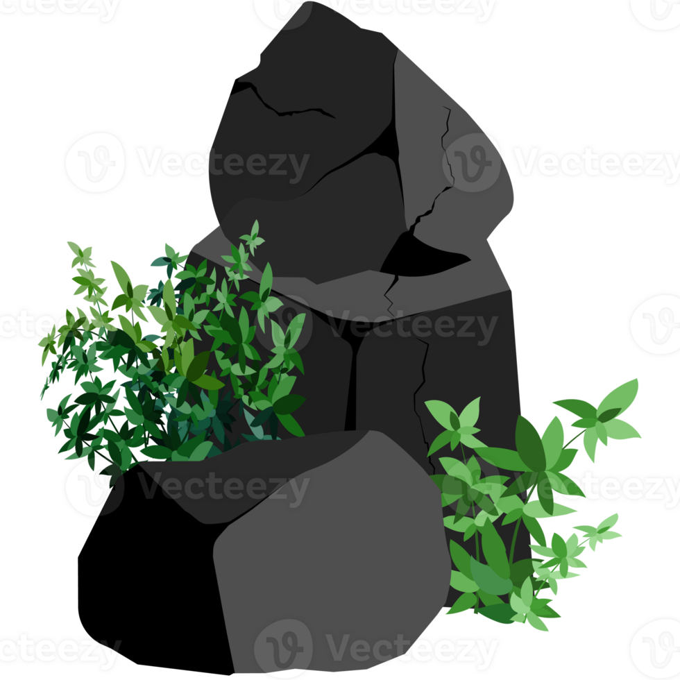 Stones or black coal from plants png