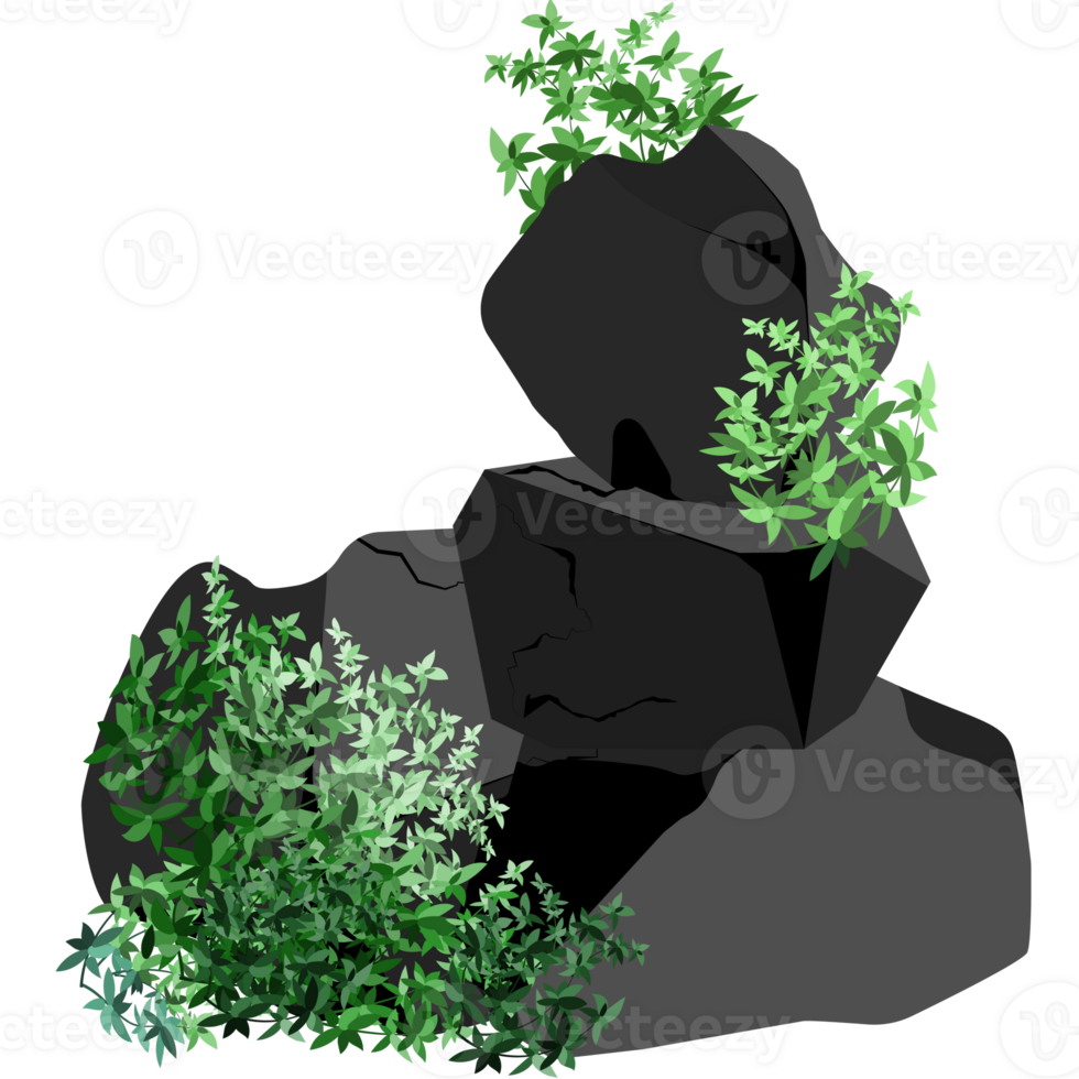 Stones or black coal from plants png