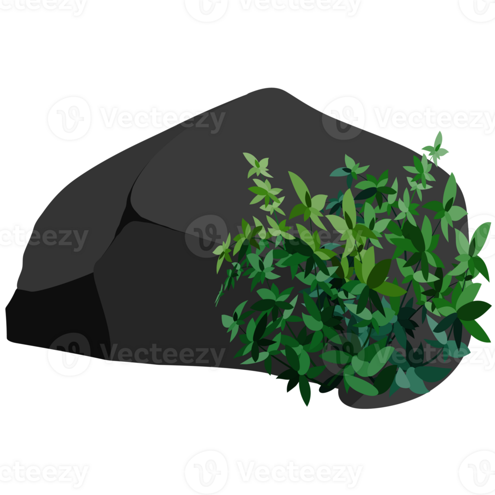 Stones or black coal from plants png
