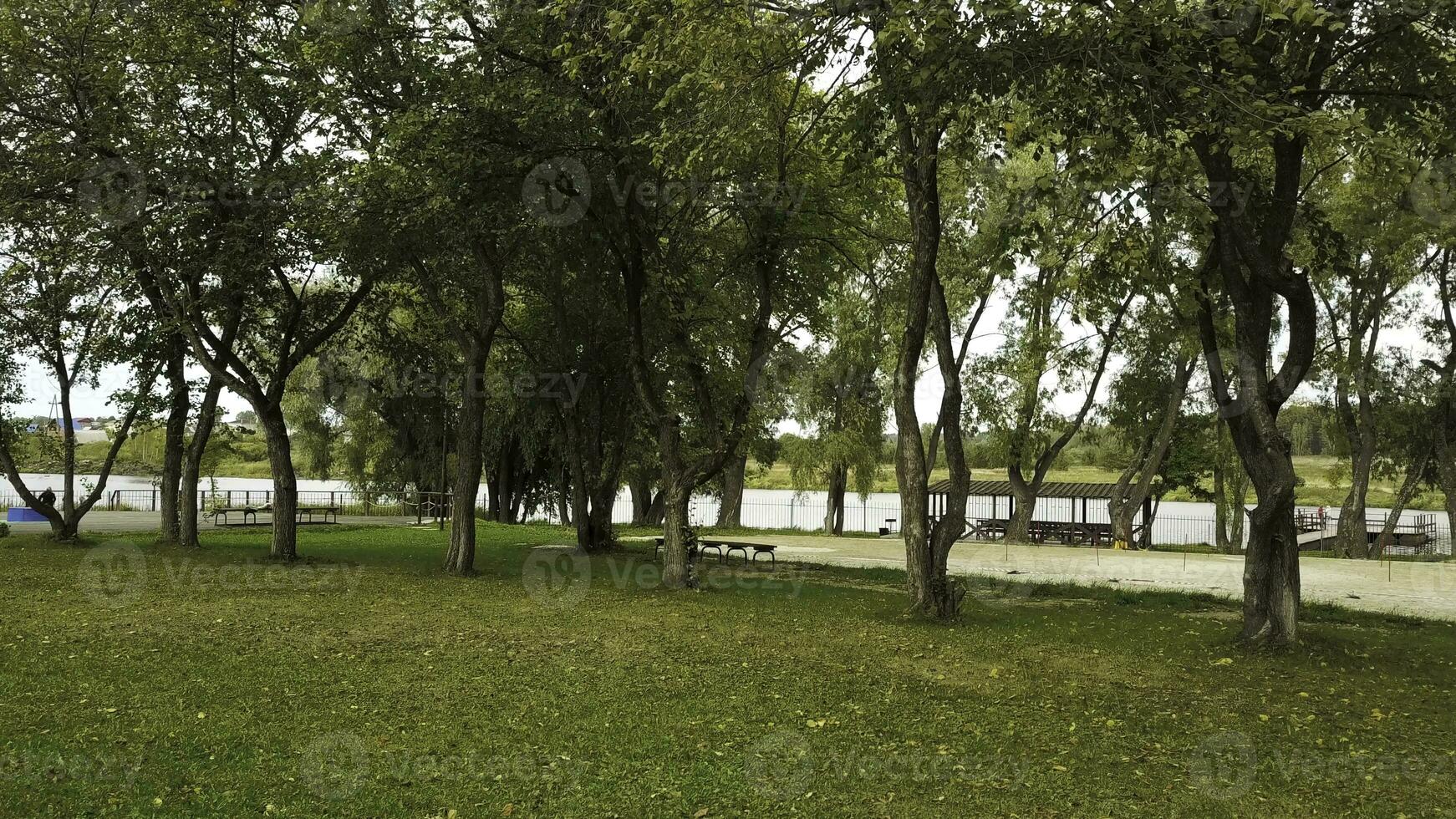 Spring at the park near the river in the city. Stock footage. Green alley with a growing trees, green meadow, and benches in the summer time. photo