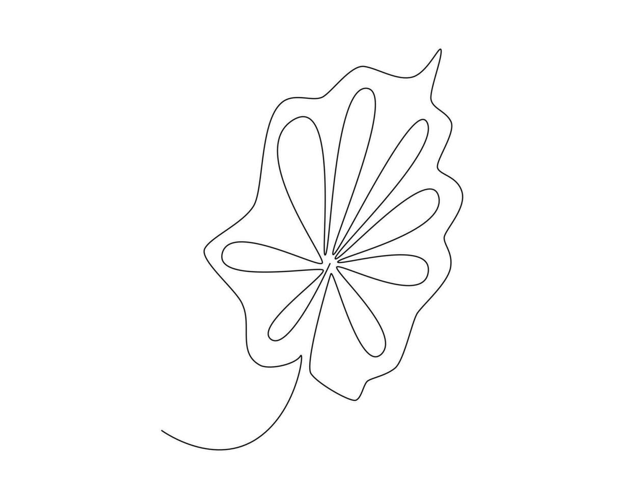 continuous line drawing of a tropical leaf. Vector illustration on white background.