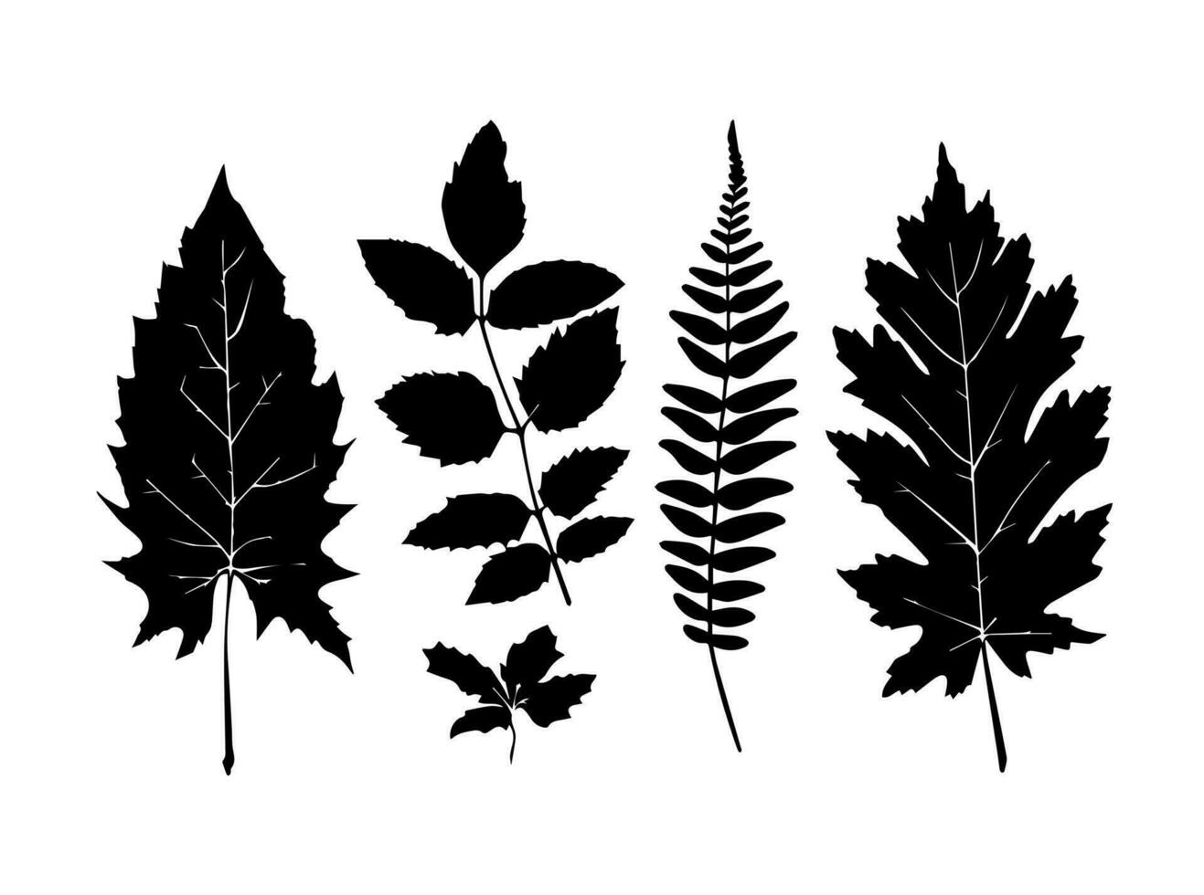 conjunto de negro siluetas de hojas y flores vector ilustración.