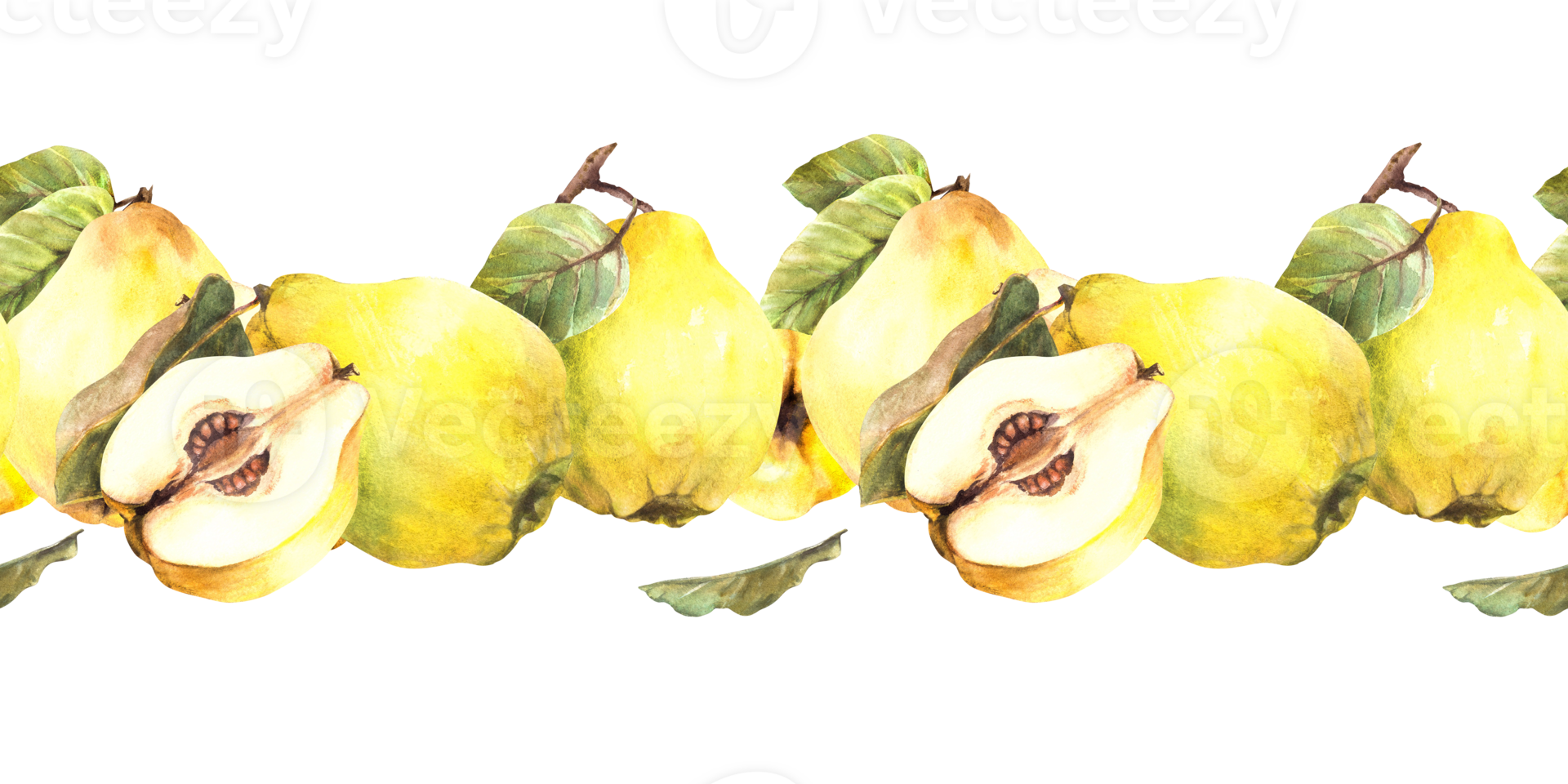 Watercolor hand painted seamless border, pattern Yellow juicy quince whole and cut fruits with branch and leaves. Illustration. Clipart for wrapping paper, wallpaper, cover. png