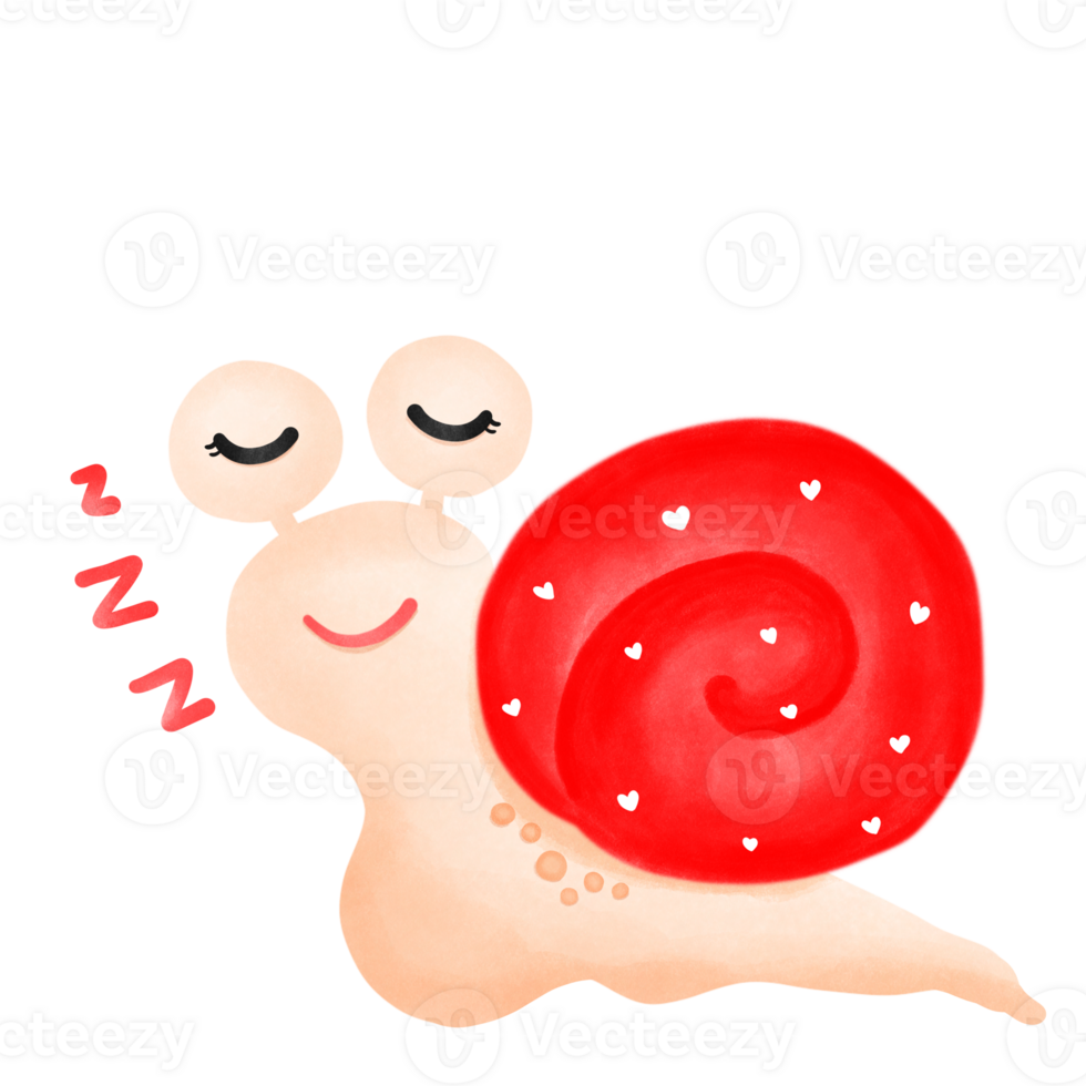 Snail couple snail, png