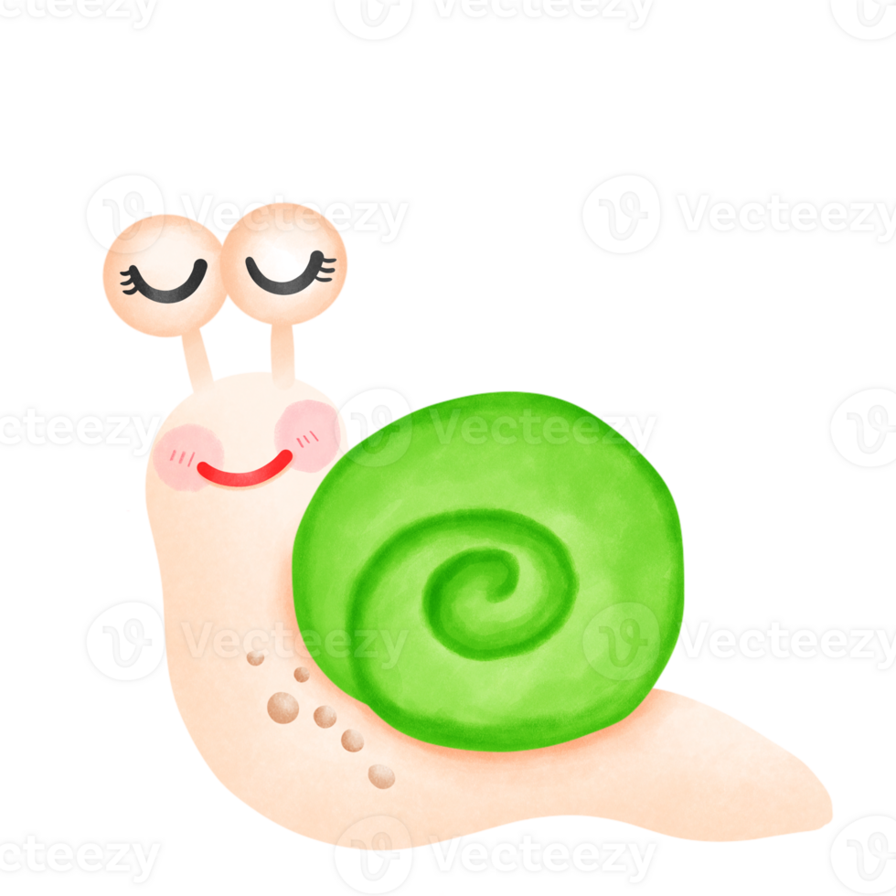 Snail couple snail, png