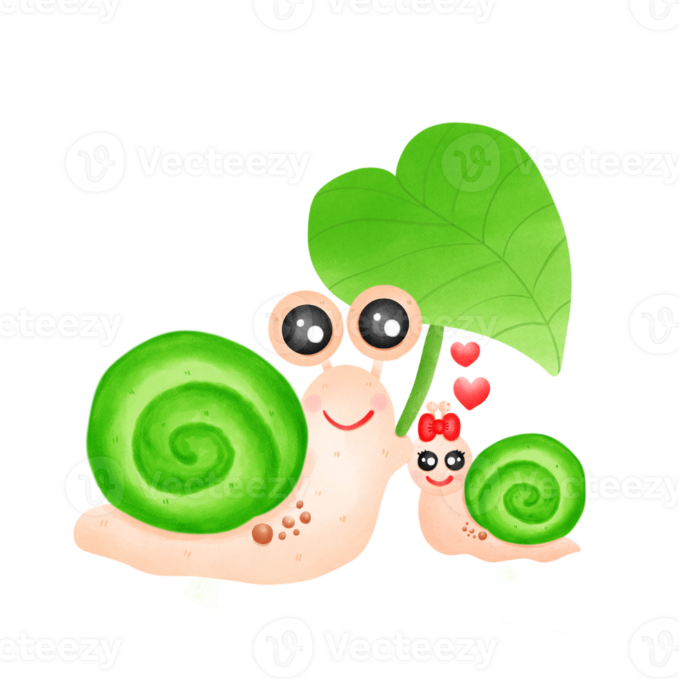 Snail couple snail, png
