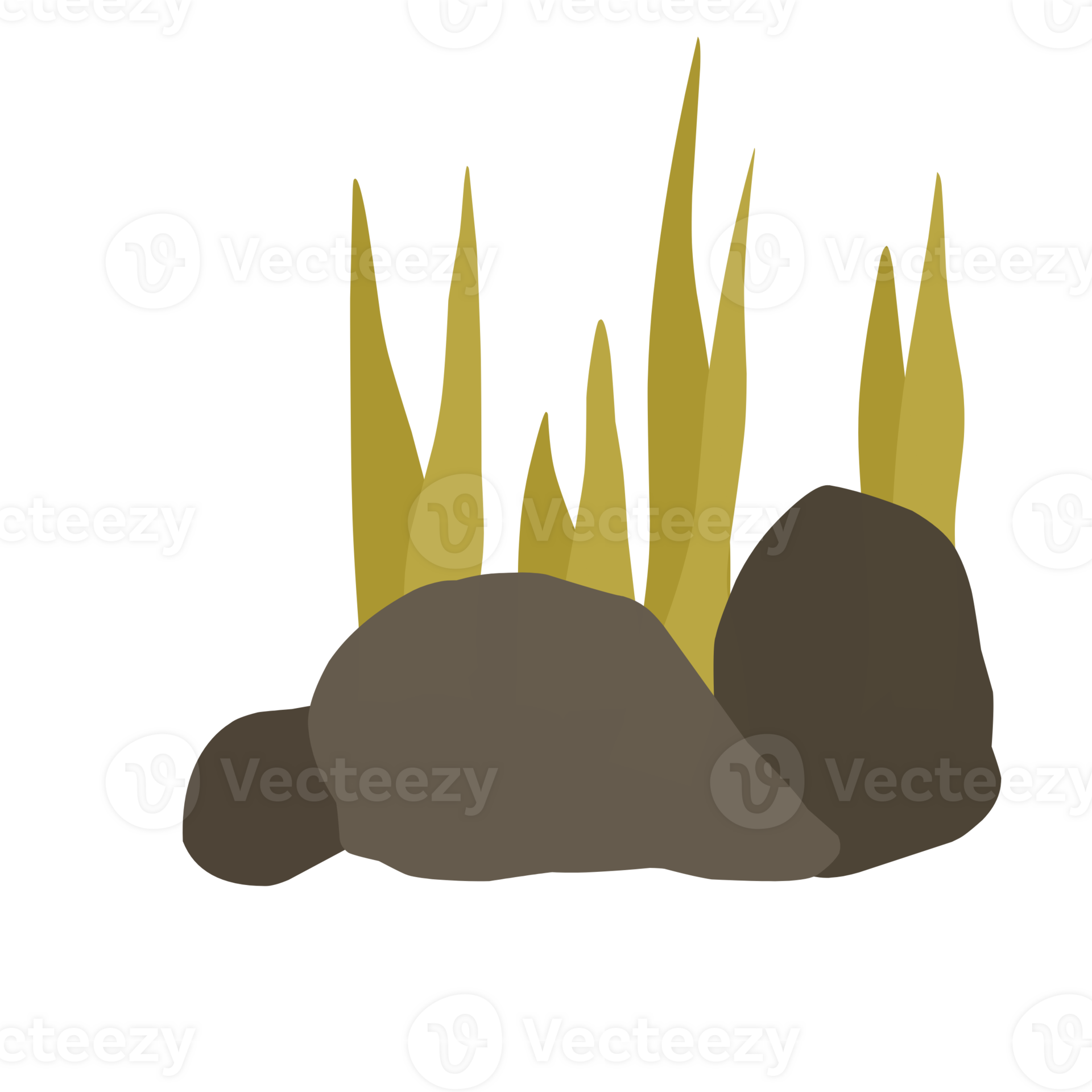 Stones and Grasses 35753346 PNG