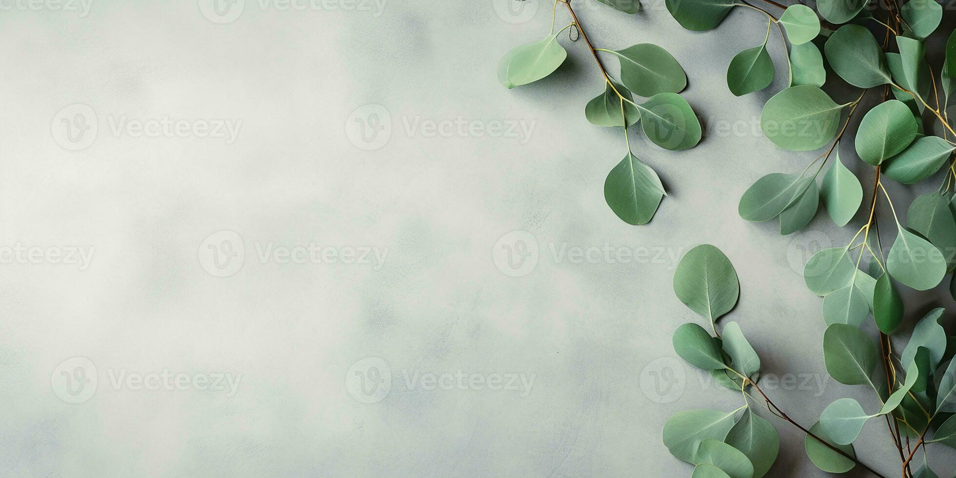 AI generated flat lay with eucalyptus branches and leaves on a white background. aesthetic frame of eucalyptus leaves, border photo