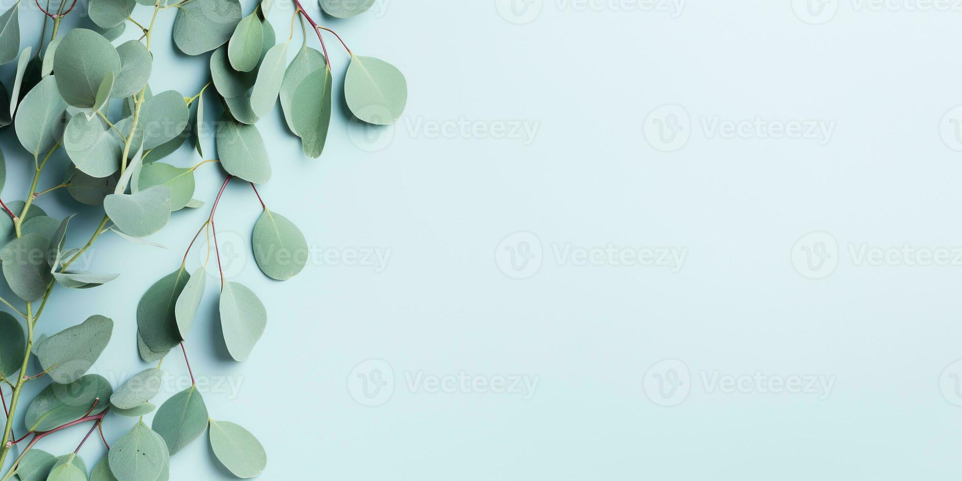 AI generated flat lay with eucalyptus branches and leaves on a white background. aesthetic frame of eucalyptus leaves, border photo