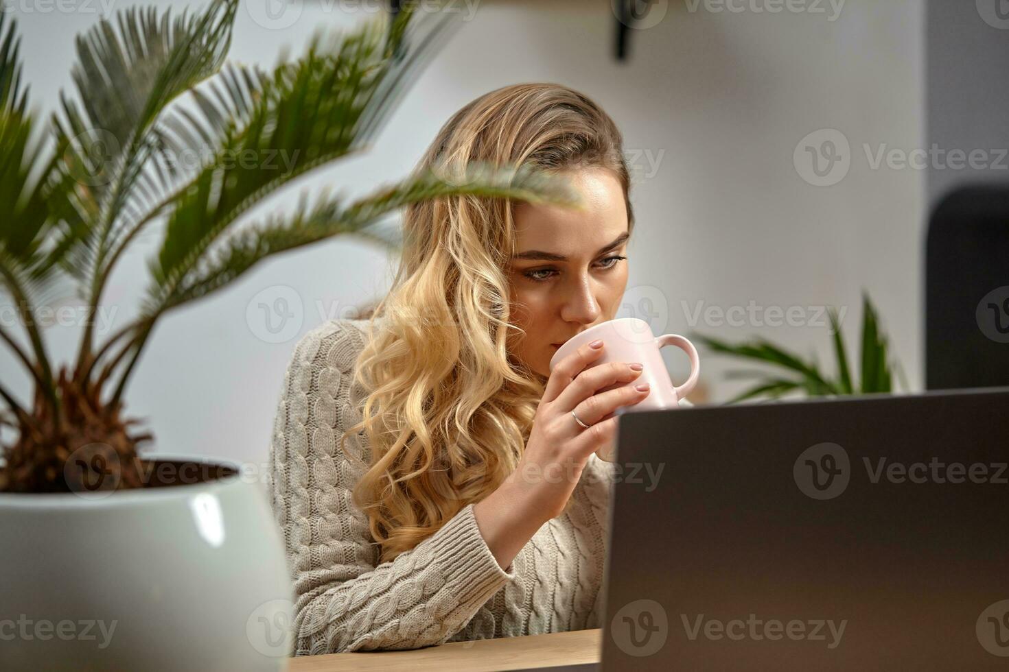 Model, blogger or student, in beige sweater. Sitting in kitchen at wooden table, looking at laptop, drinking tea. Palm tree in pot nearby. Close up photo