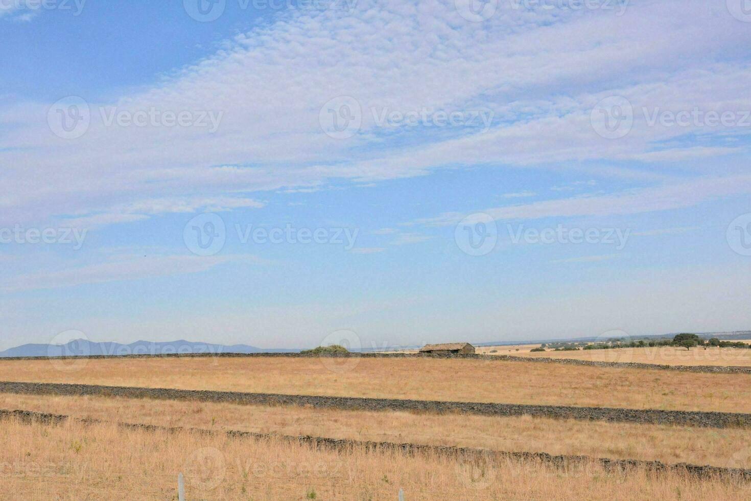 a field with a fence under a cloudy blue sky photo