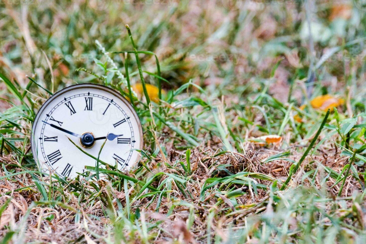 an old clock is sitting in the grass photo