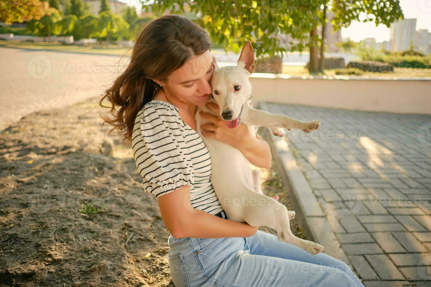 Dog Parson Russell Terrier breed is playing in green park with his owner. Summer time or beginning of autumn. Nature. Pet care and training concept. photo