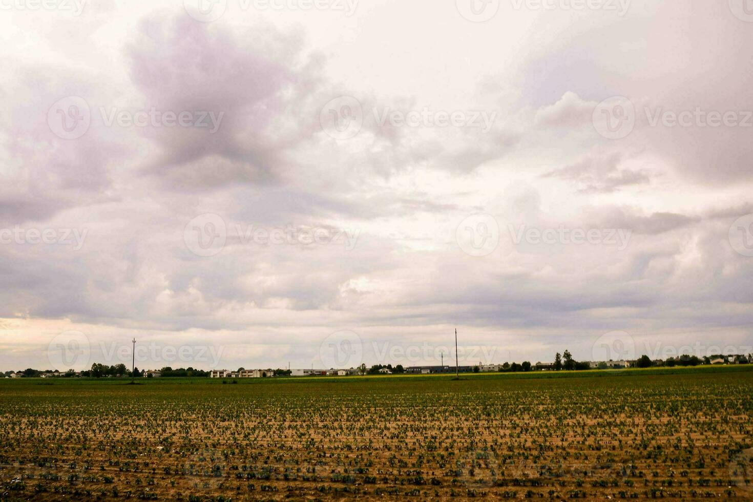 un campo con cultivos y un nublado cielo foto