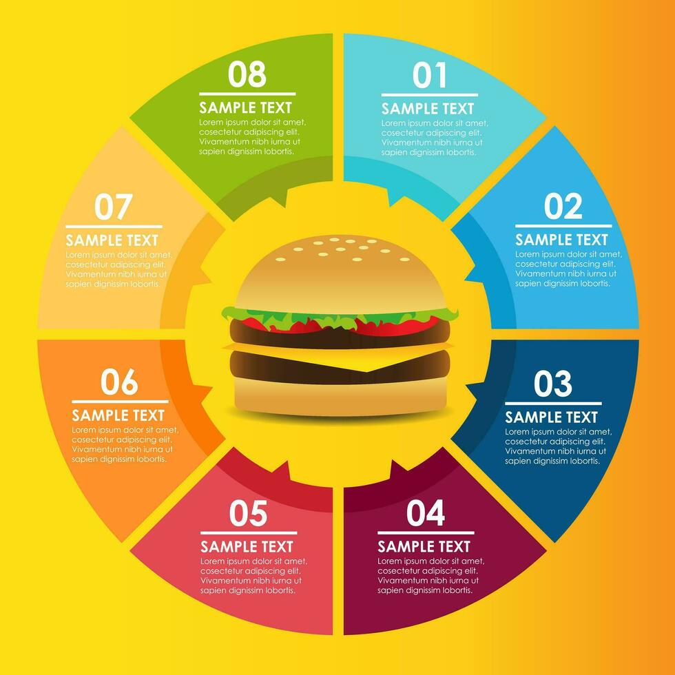 Burger infographic vector