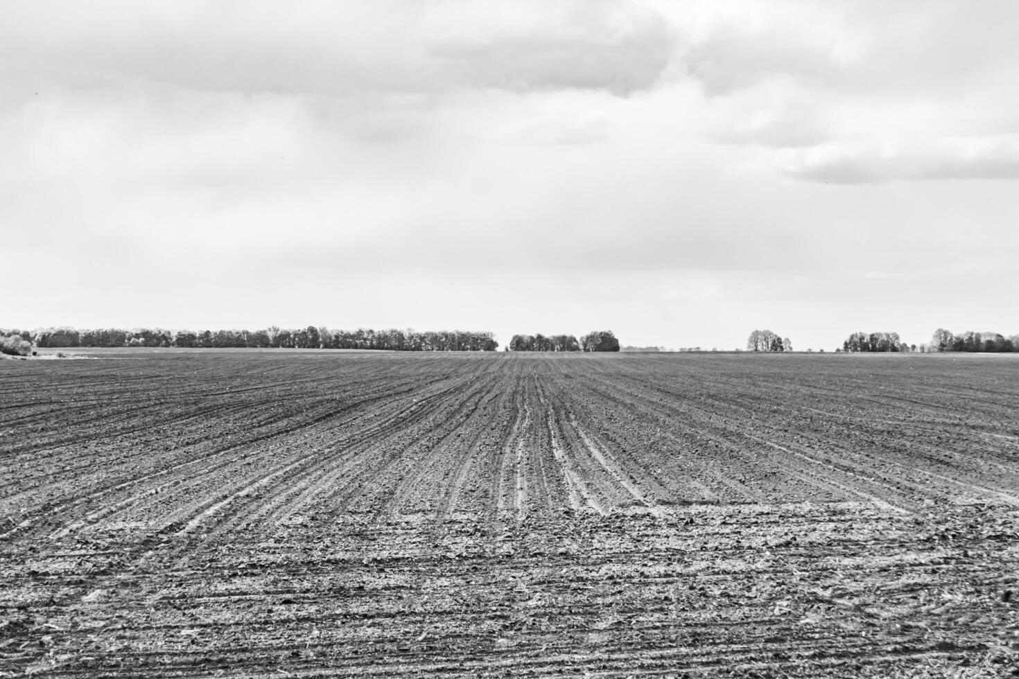 Photography on theme big empty farm field for organic harvest photo