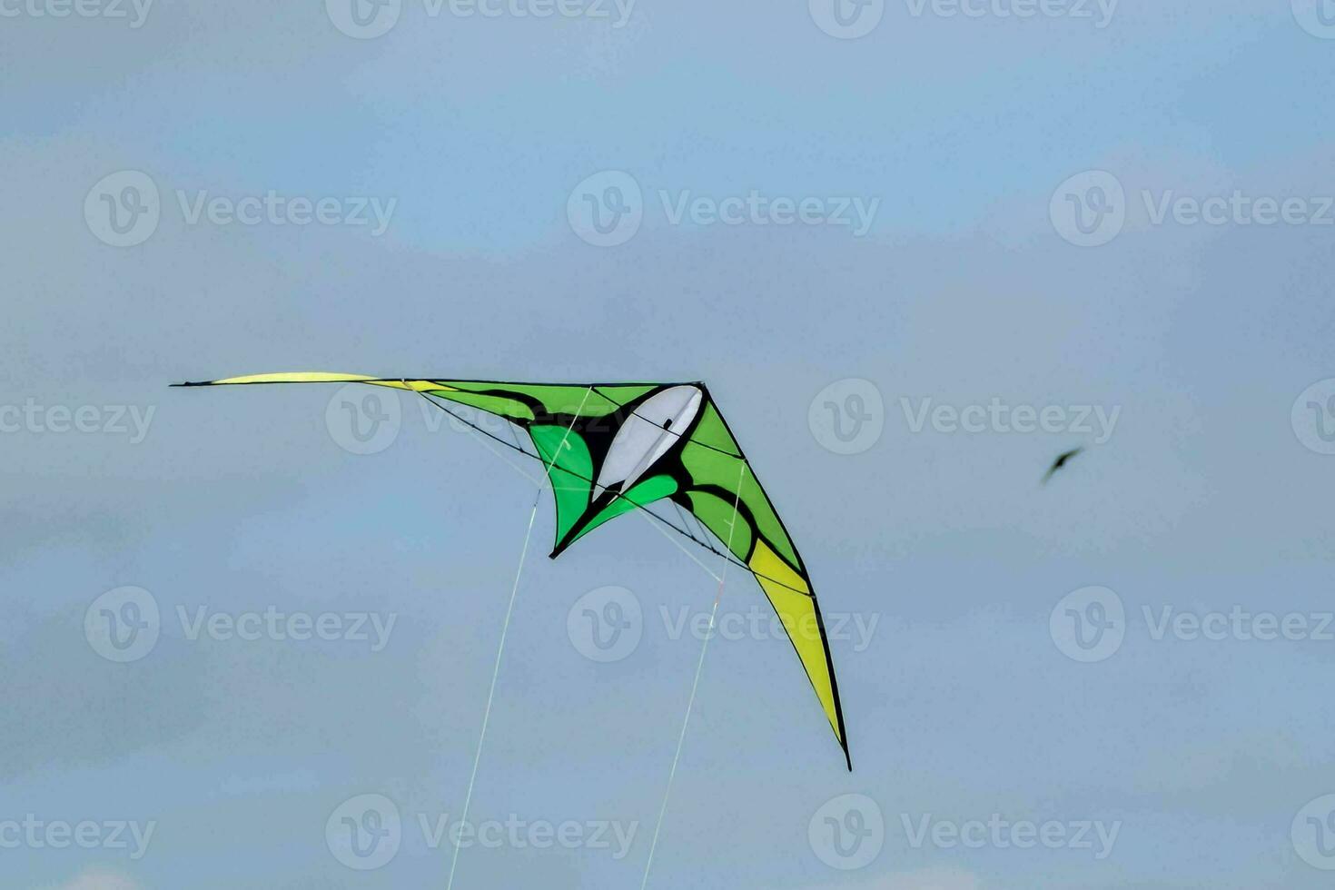 a kite flying in the sky photo