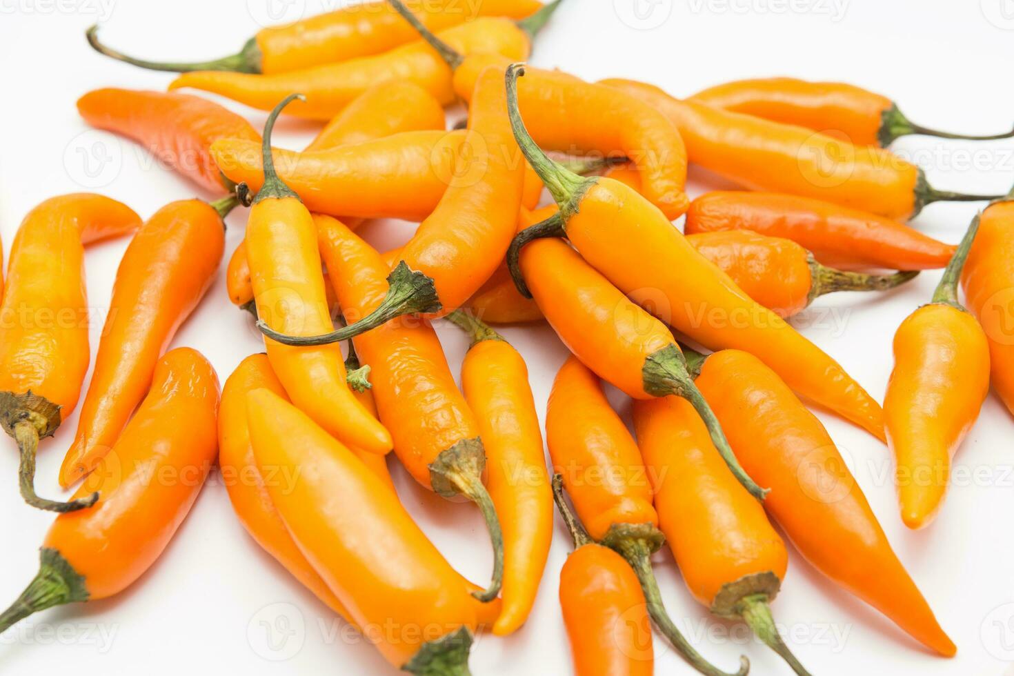 yellow chili pepper isolated on a white background photo