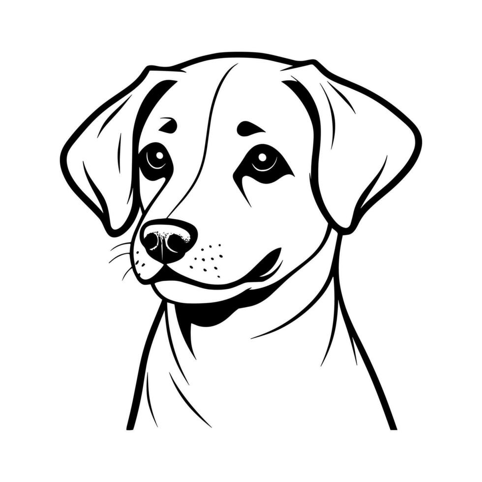 Cute dog vector, Cartoon cat, or kitten characters design collection. vector