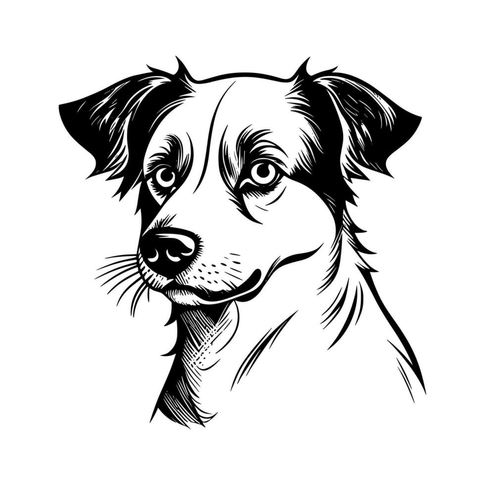 Cute dog vector, Cartoon cat, or kitten characters design collection. vector