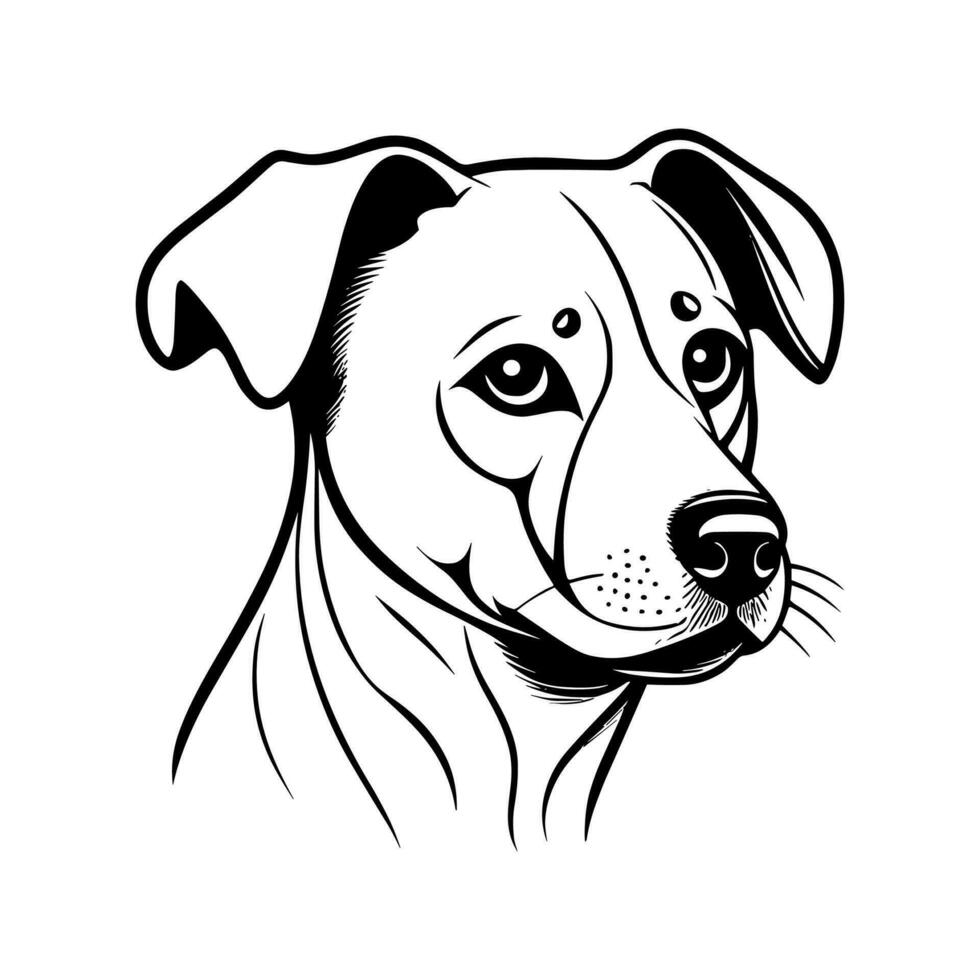 Cute dog vector, Cartoon cat, or kitten characters design collection. vector