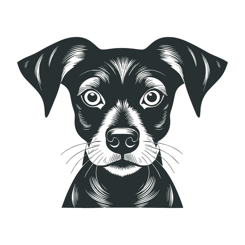 Cute dog vector, Cartoon cat, or kitten characters design collection. vector