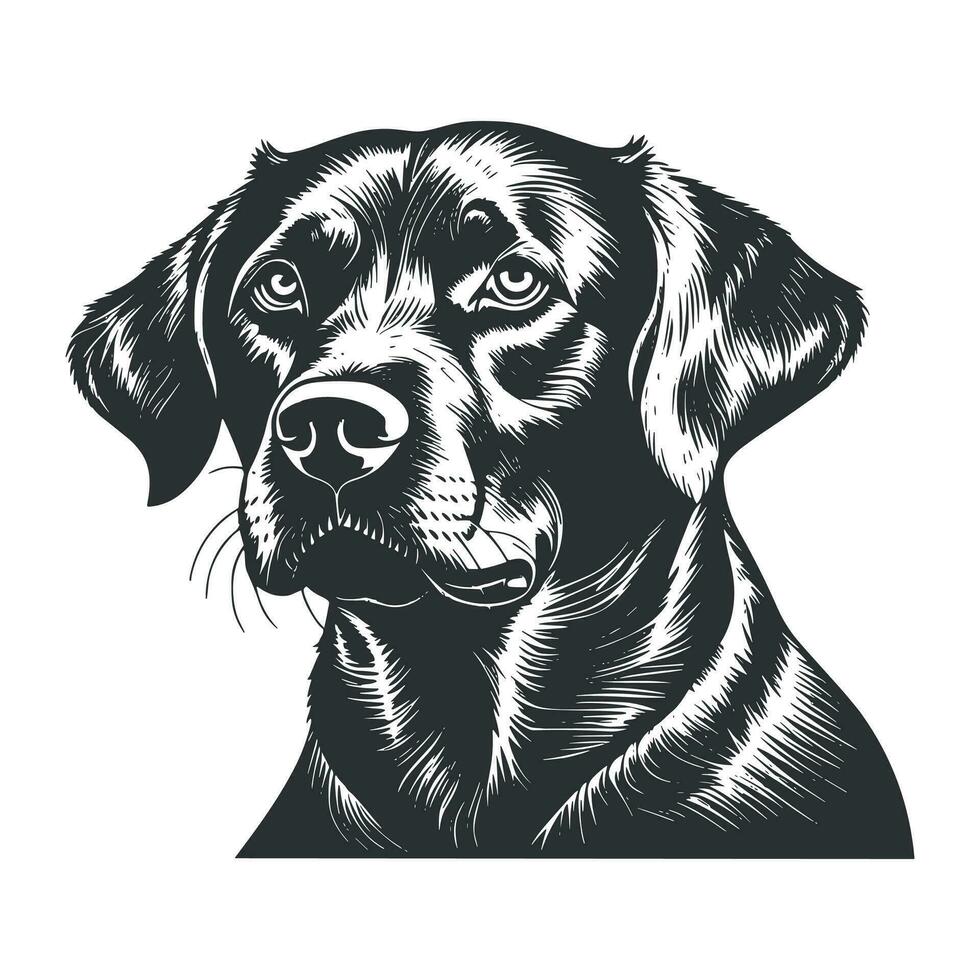 Cute dog vector, Cartoon cat, or kitten characters design collection. vector