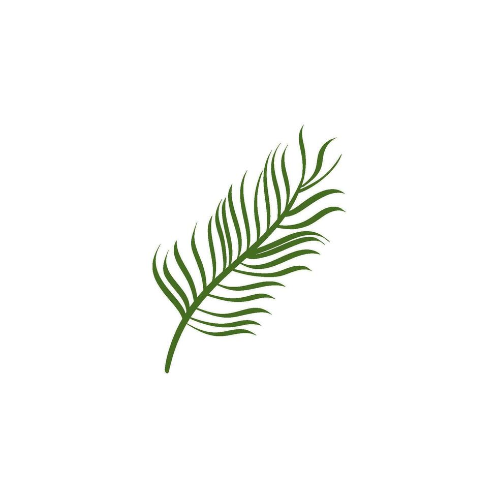 background of flora and palm leaves vector