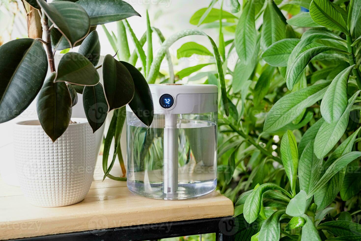 Modern air humidifier on table in living room full of plants. Space for text photo