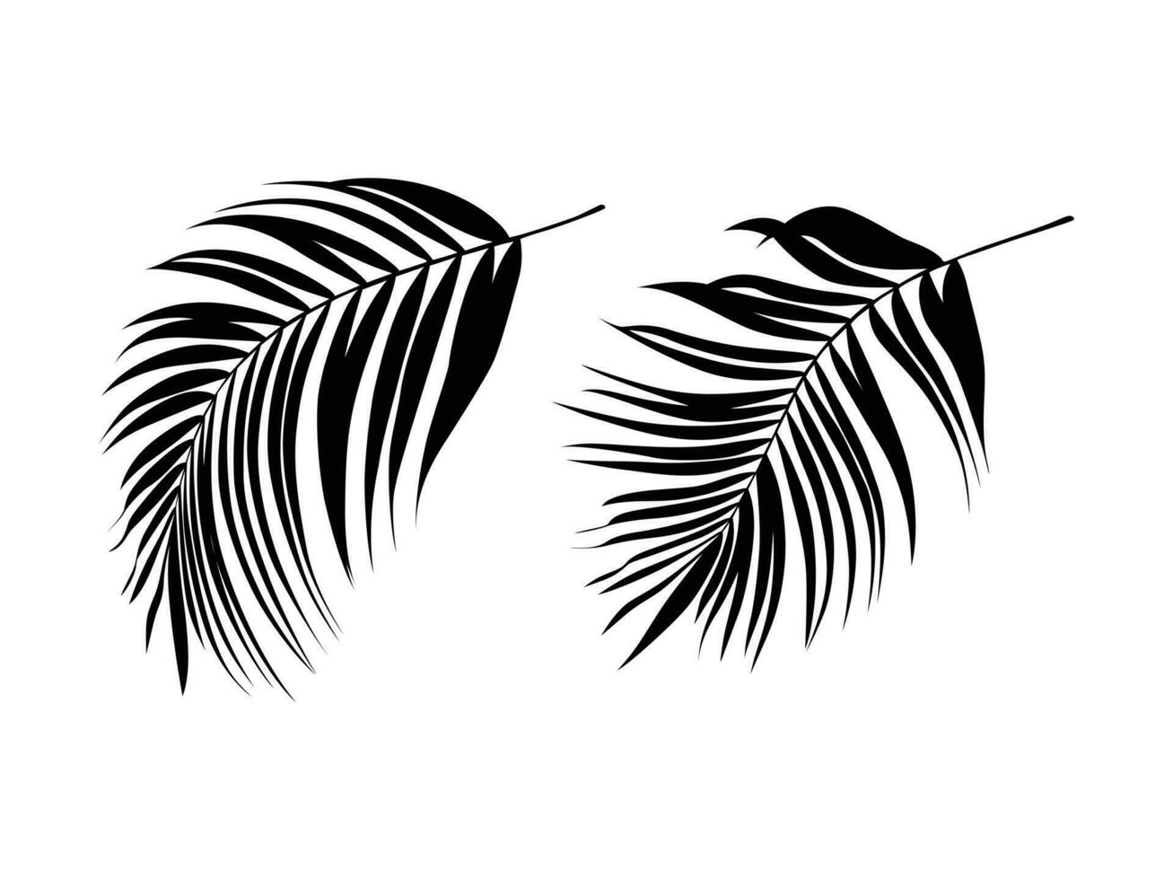Plant silhouettes as vector images