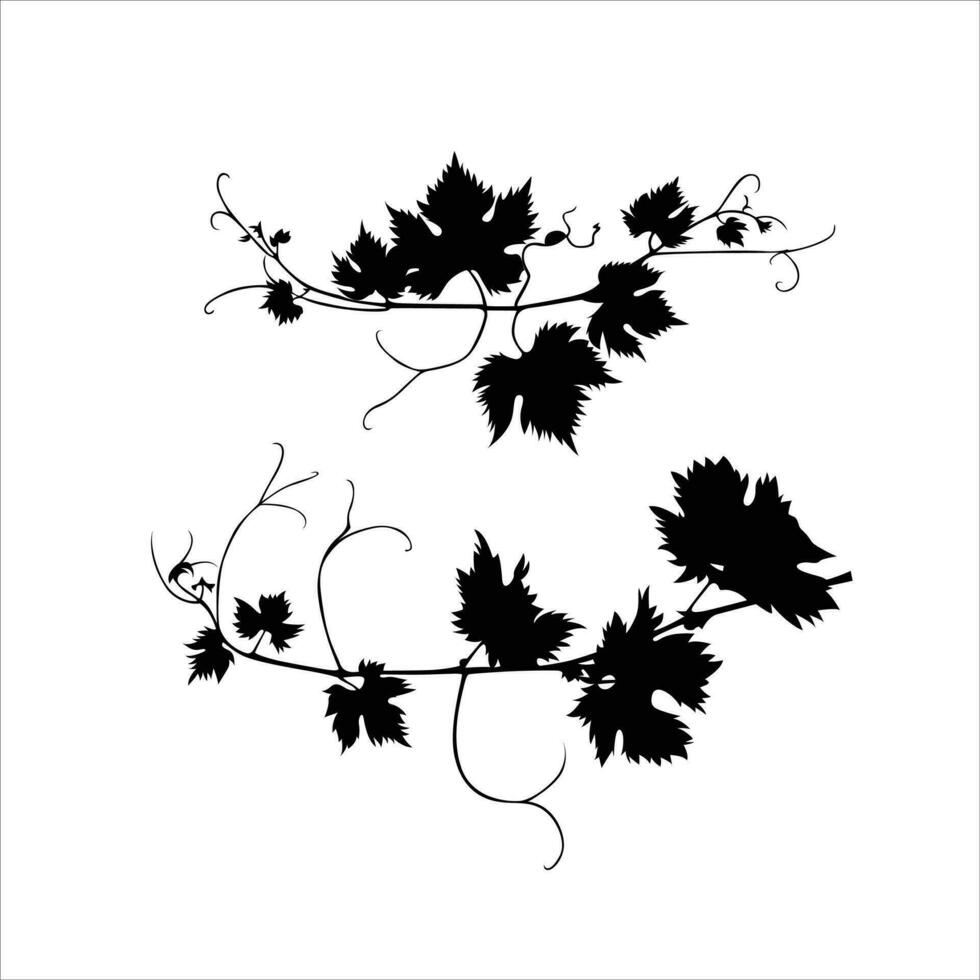 vector hand drawn leaves silhouette illustration