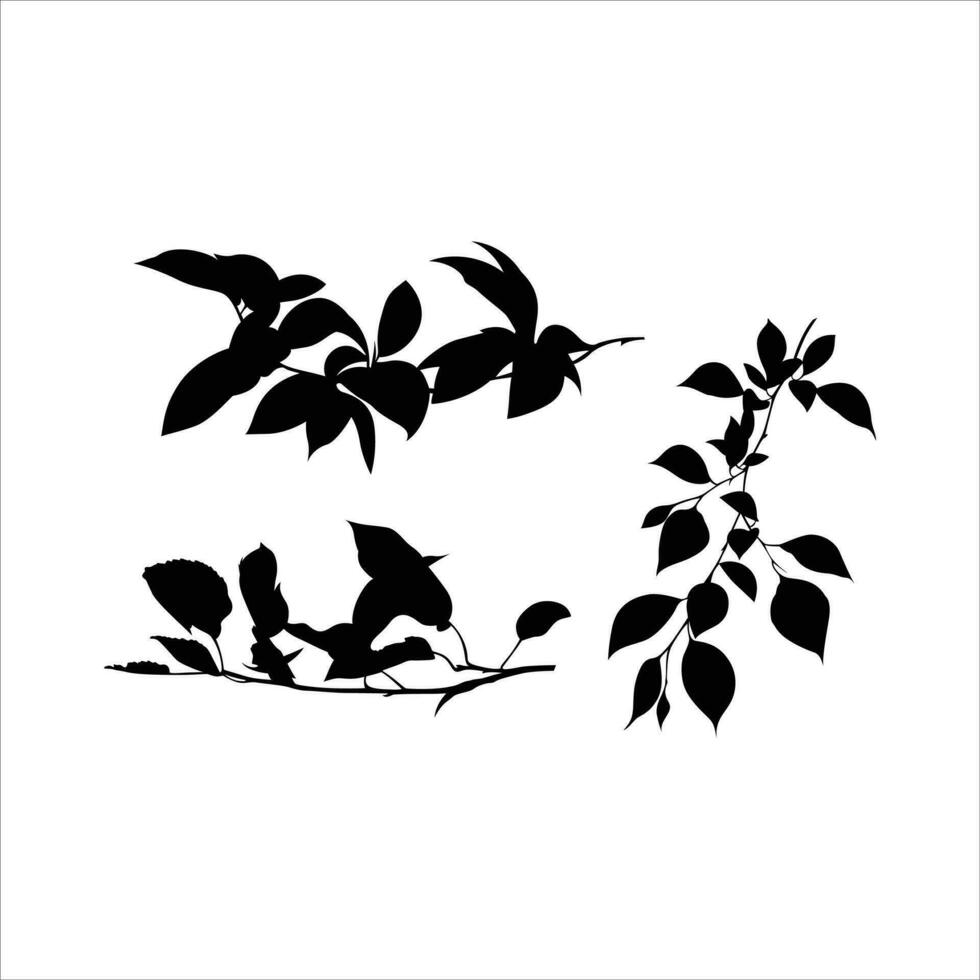 vector hand drawn leaves silhouette illustration