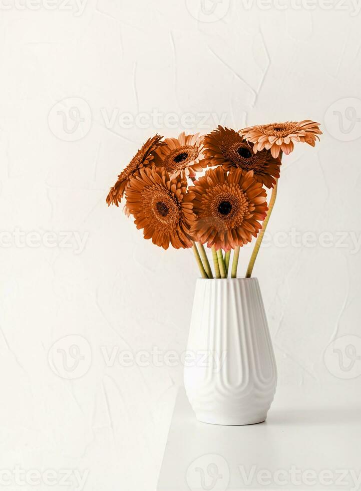 Color of the year 2024, Peach Fuzz. Bright gerbera daisies in white vase on table photo