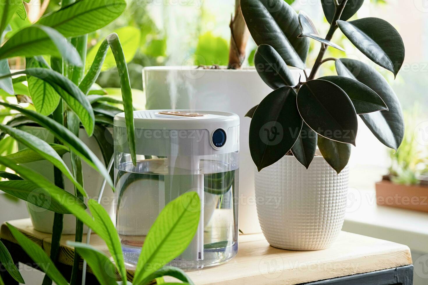 Modern air humidifier on table in living room full of plants. Space for text photo