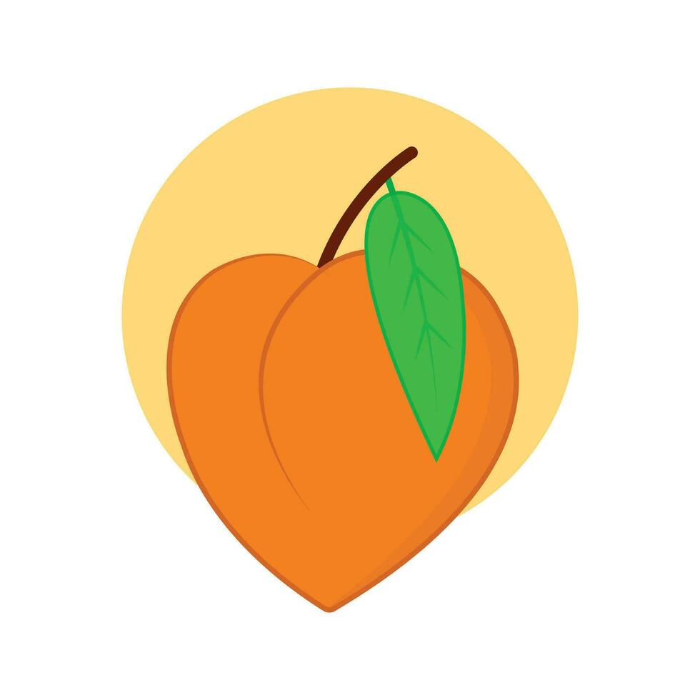 peach fruit vector illustration