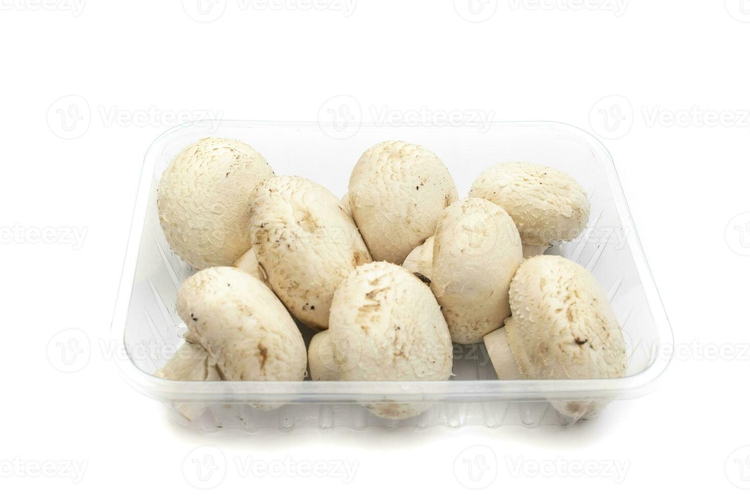 Whole mushrooms in a transparent container, isolated on white background. Scientific name is Agaricus bisporus. It is the most commonly used edible mushroom species for cooking. photo