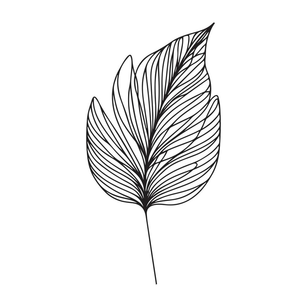 aesthetic decorative line art illustration of leaf, floral vector