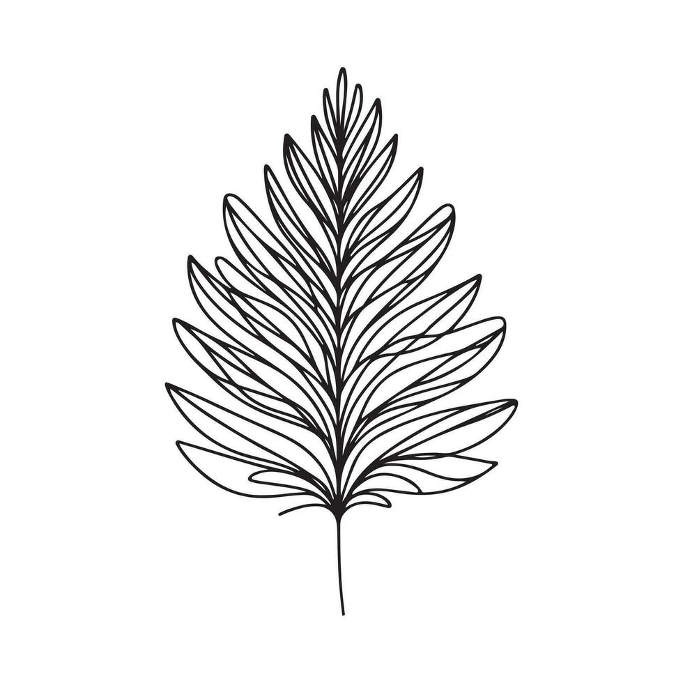 aesthetic decorative line art illustration of leaf, floral vector