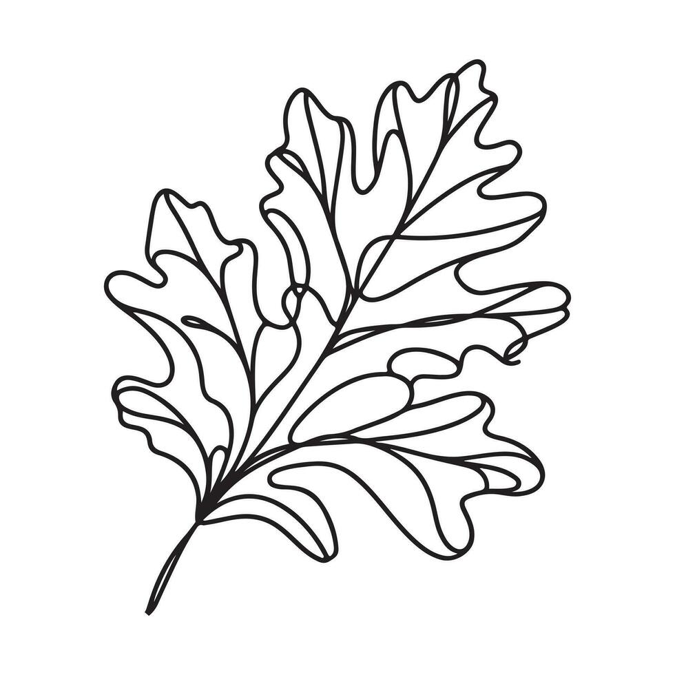 aesthetic decorative line art illustration of leaf, floral vector