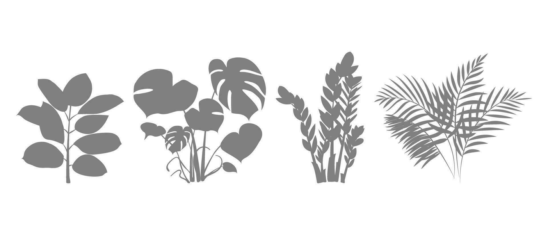 Silhouettes of indoor plants. Zamiokulkas Dollar Tree, Ficus and Monstera plant in pot. Set of icons of indoor flowers for home and office. Vector illustration.