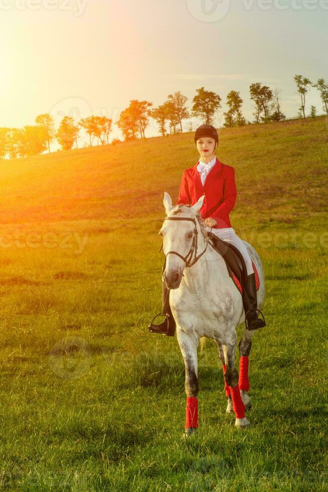 Young woman rider, wearing red redingote and white breeches, with her horse in evening sunset light. photo