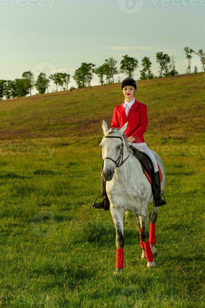 Young woman rider, wearing red redingote and white breeches, with her horse in evening sunset light. photo