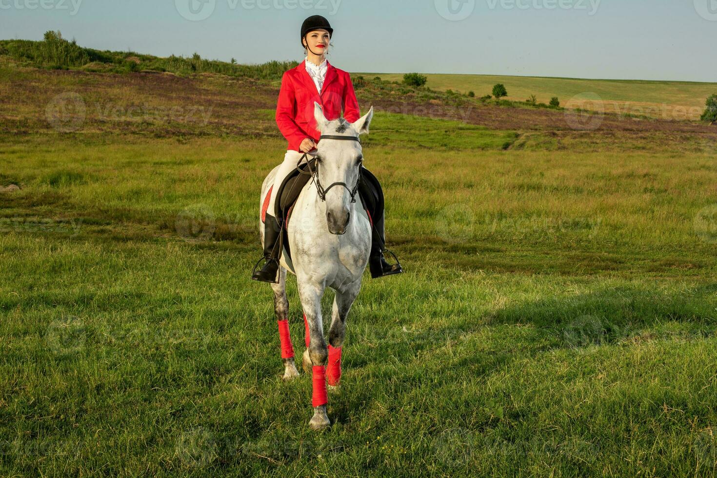 Young woman rider, wearing red redingote and white breeches, with her horse in evening sunset light. photo