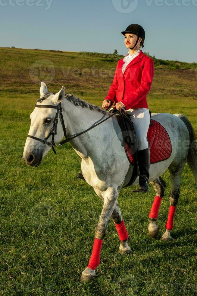 Young woman rider, wearing red redingote and white breeches, with her horse in evening sunset light. photo