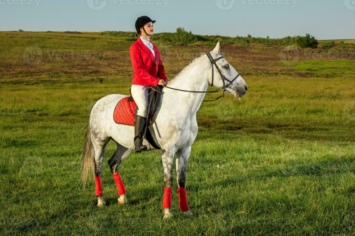 Young woman rider, wearing red redingote and white breeches, with her horse in evening sunset light. photo