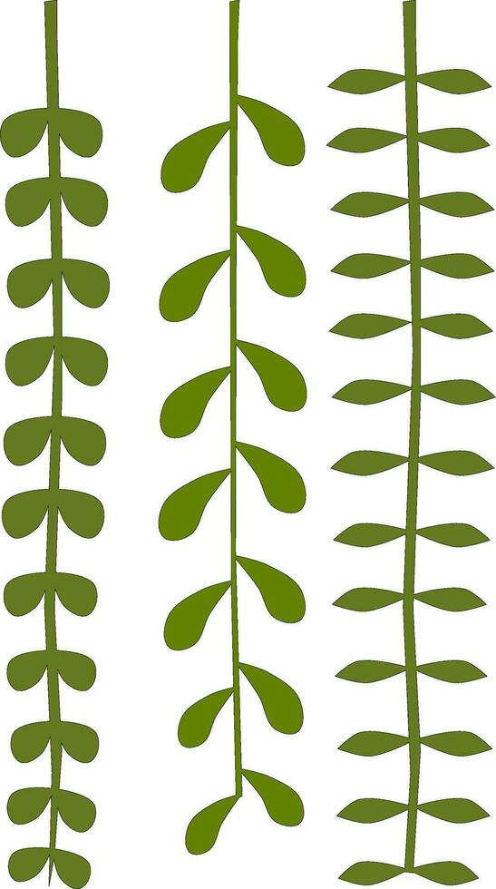 green vine with leaves. vector