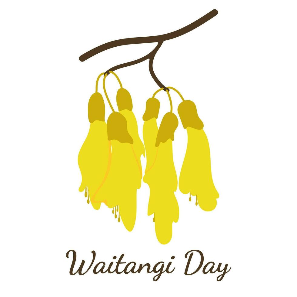 Waitangi Day with Kowhai isolated on white background. Vector illustration of national New Zealand flower. Minimalistic concept poster for celebration February 6 in yellow color.