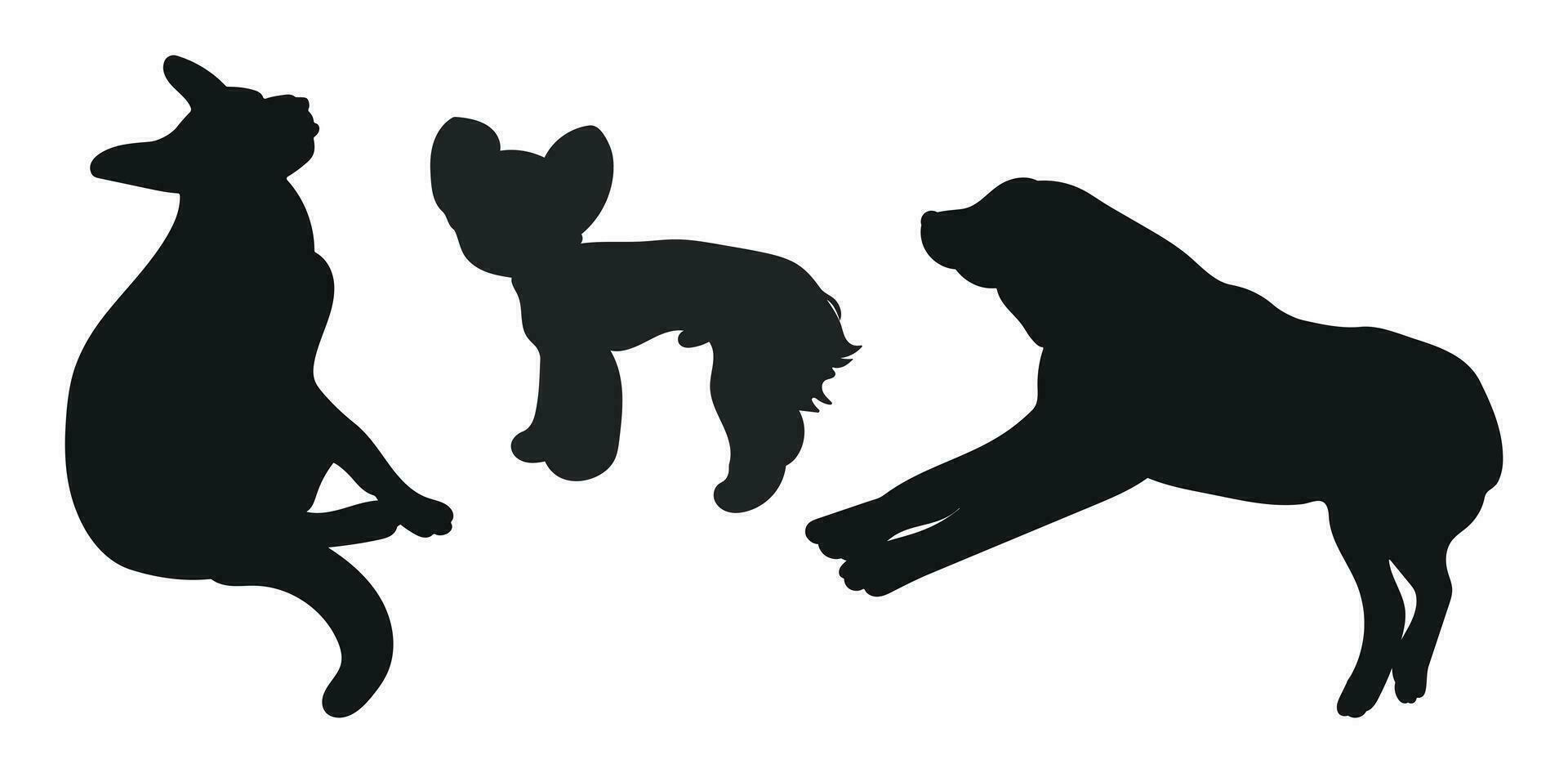 Sketch image of black silhouette dogs, outline of pets. Go, standing, sitting, lying, lie, running, jumping, training, walking, guarding, posing, play, showing vector